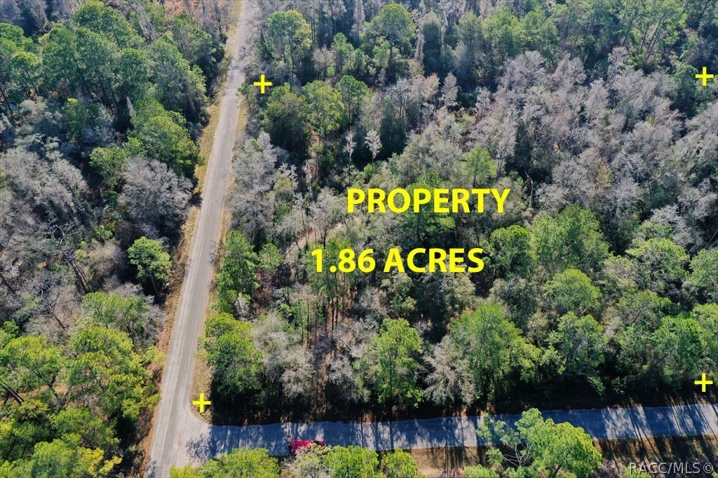 Crystal River Corner Lot