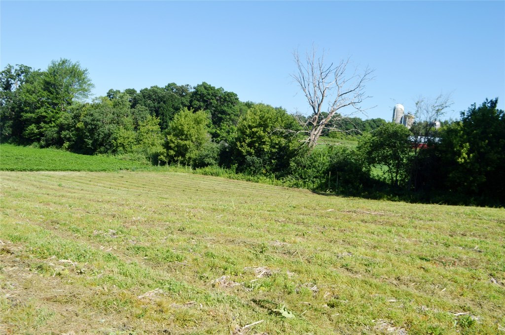 Picture 10