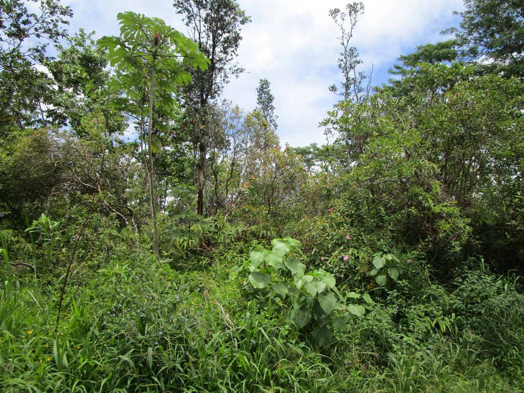 Picture 4