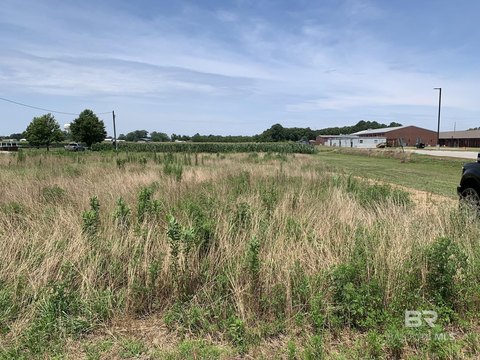 Light Commercial and Residential Land