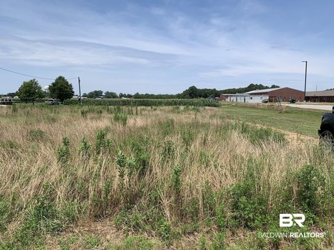 Light Commercial and Residential Land
