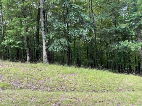 Diamondhead Buildable Lot For Sale
