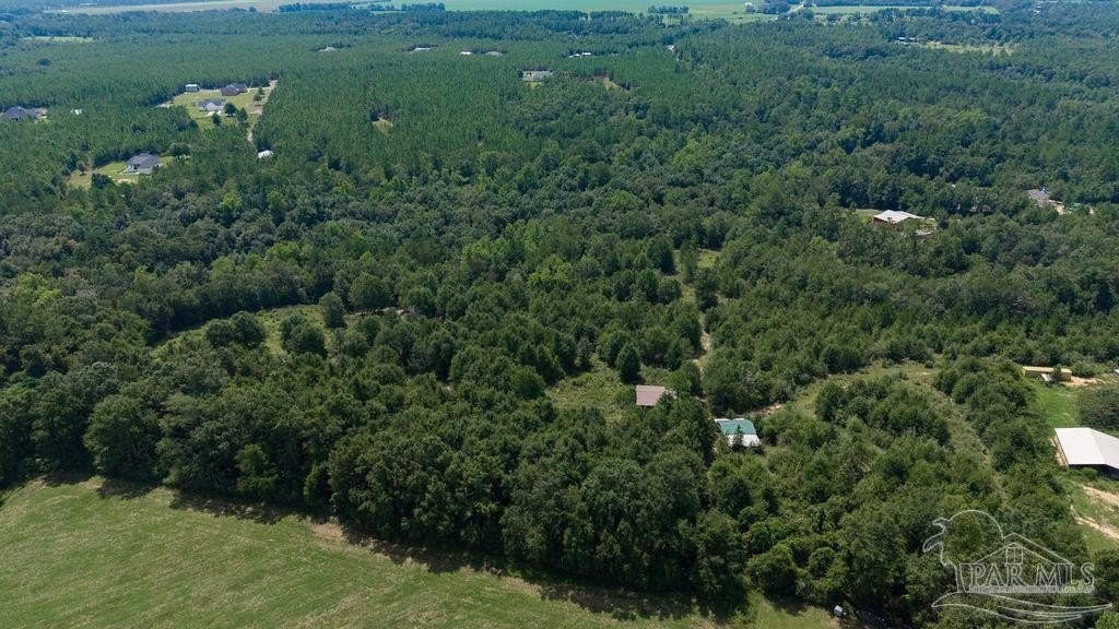 Picture 12
