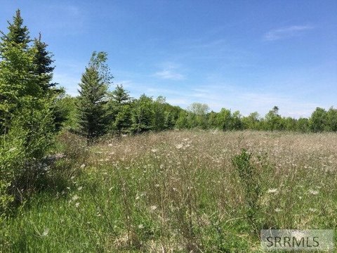 Iona Land with Development Potential