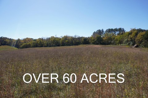 60+ Acres with Mountain Views