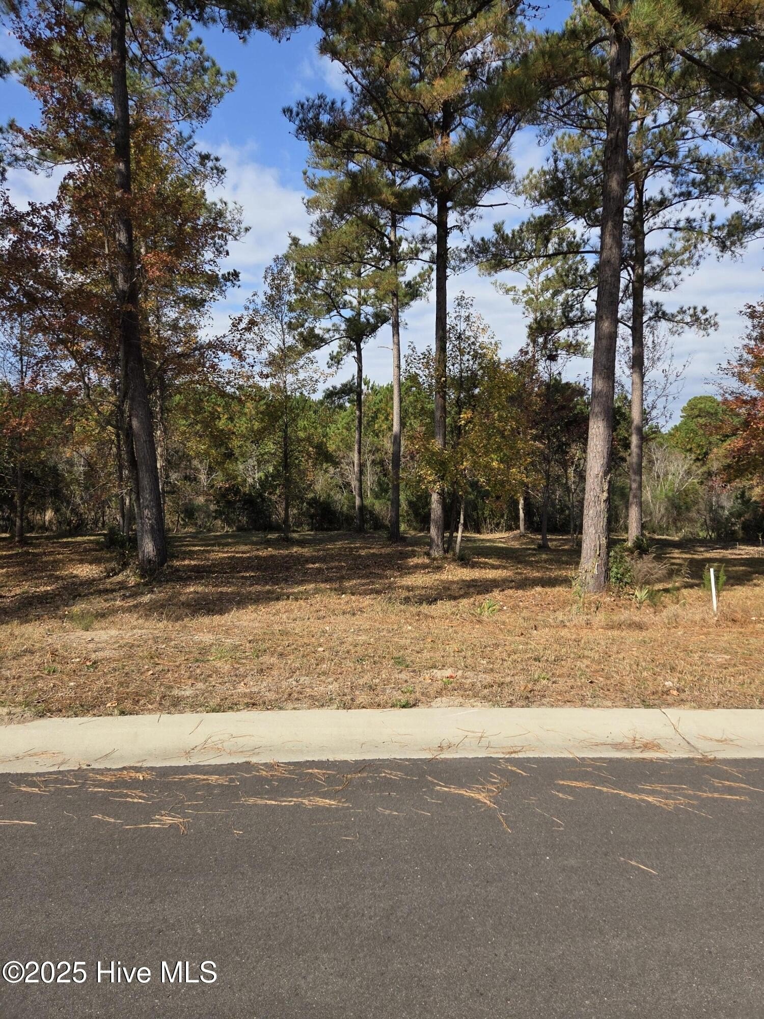 Land in Ocean Ridge Plantation