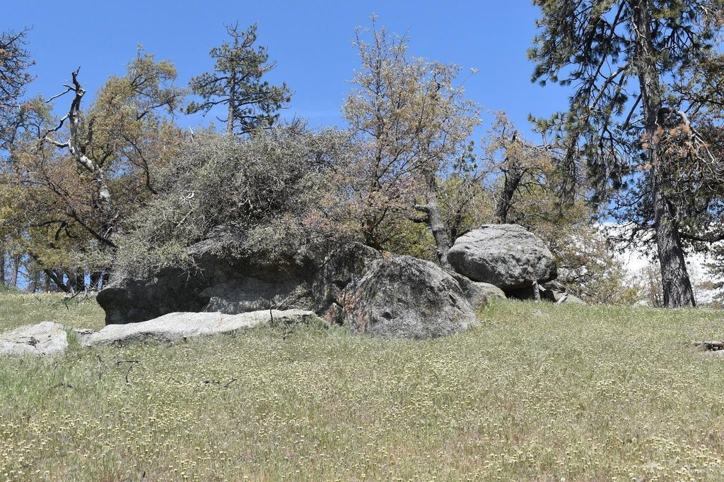 Picture 15