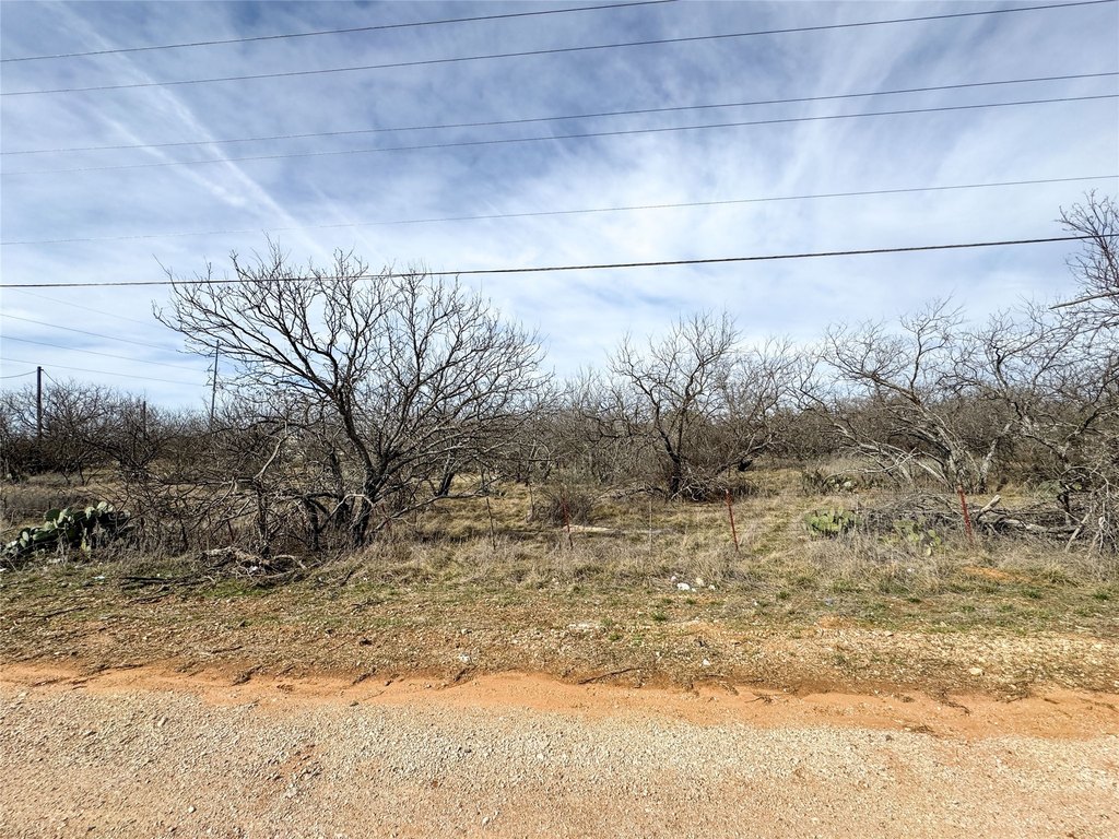 Picture 12