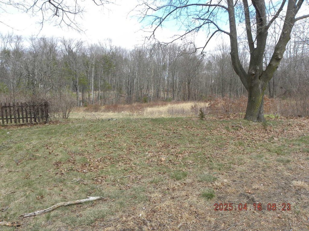 Picture 3