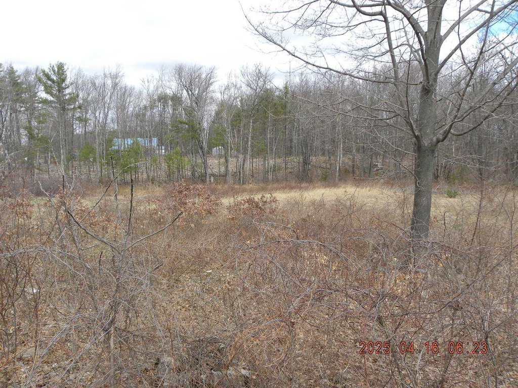 Picture 4