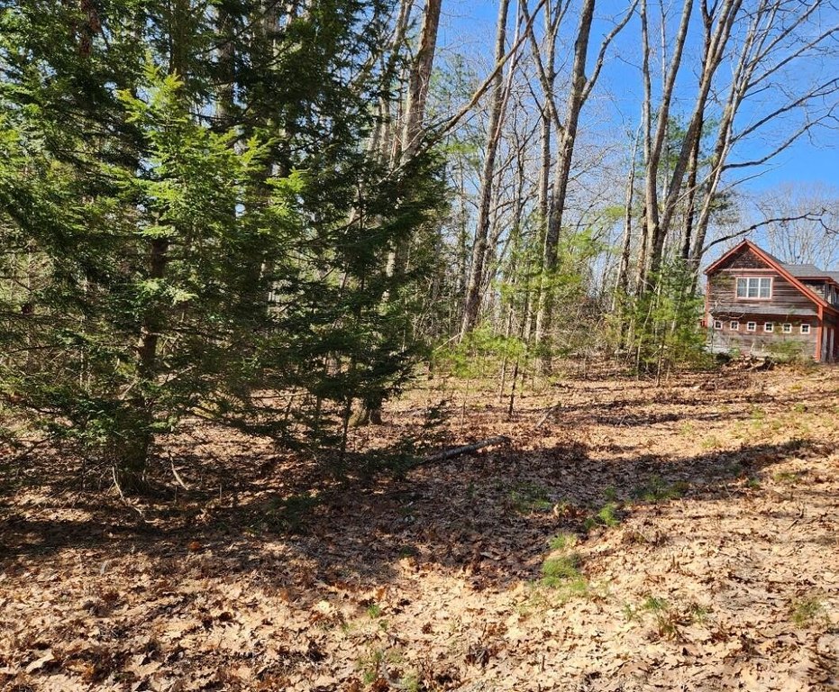 Picture 8