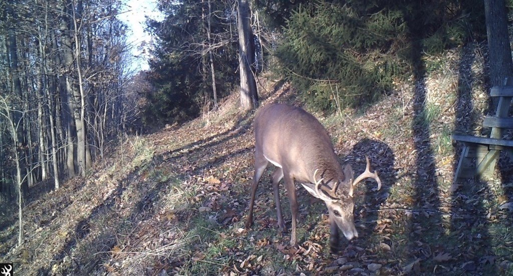 Picture 2