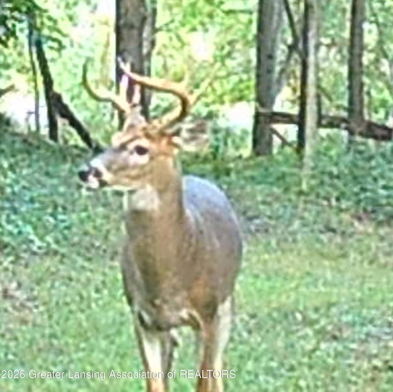 Picture 39