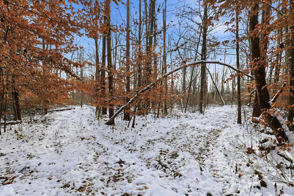 Picture 11