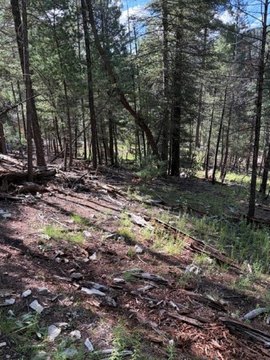 LAND, Cloudcroft, NM