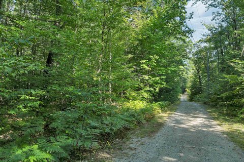 Land, Madison, NH