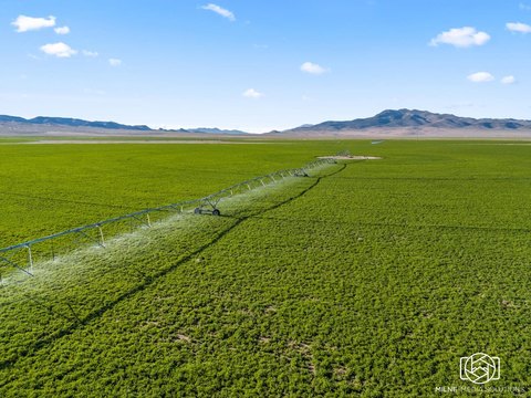 Irrigated Alfalfa Farm with Pivots