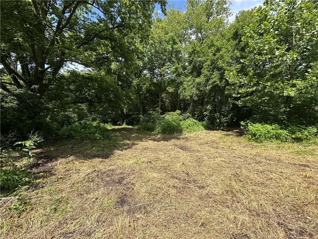 Picture 36