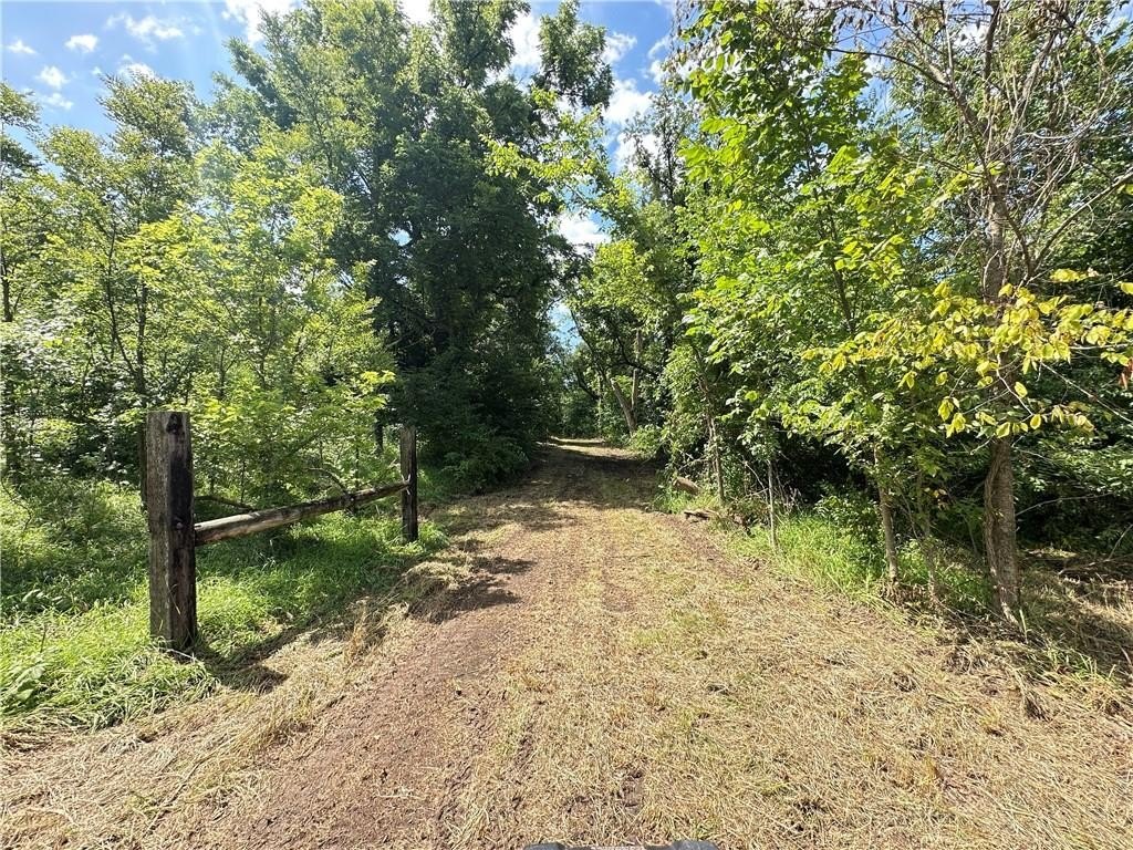 Picture 25