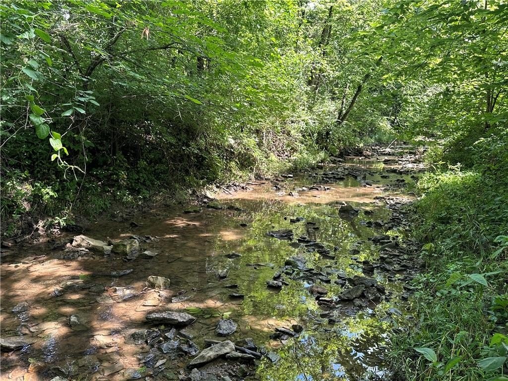 Picture 21
