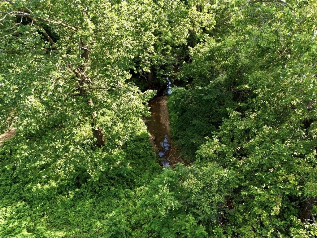 Picture 13