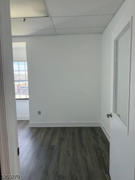 Picture 29