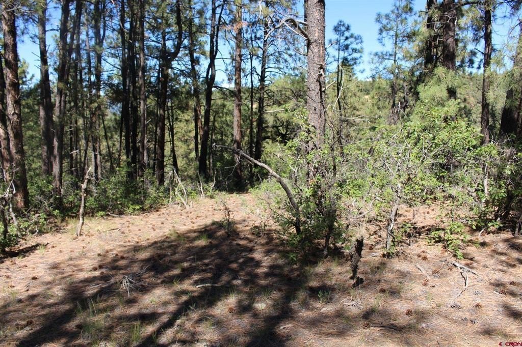 Land in Pagosa Springs, CO