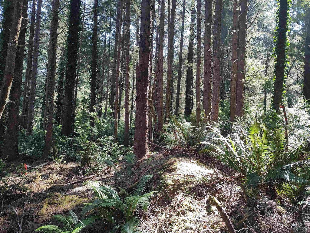 Picture 8