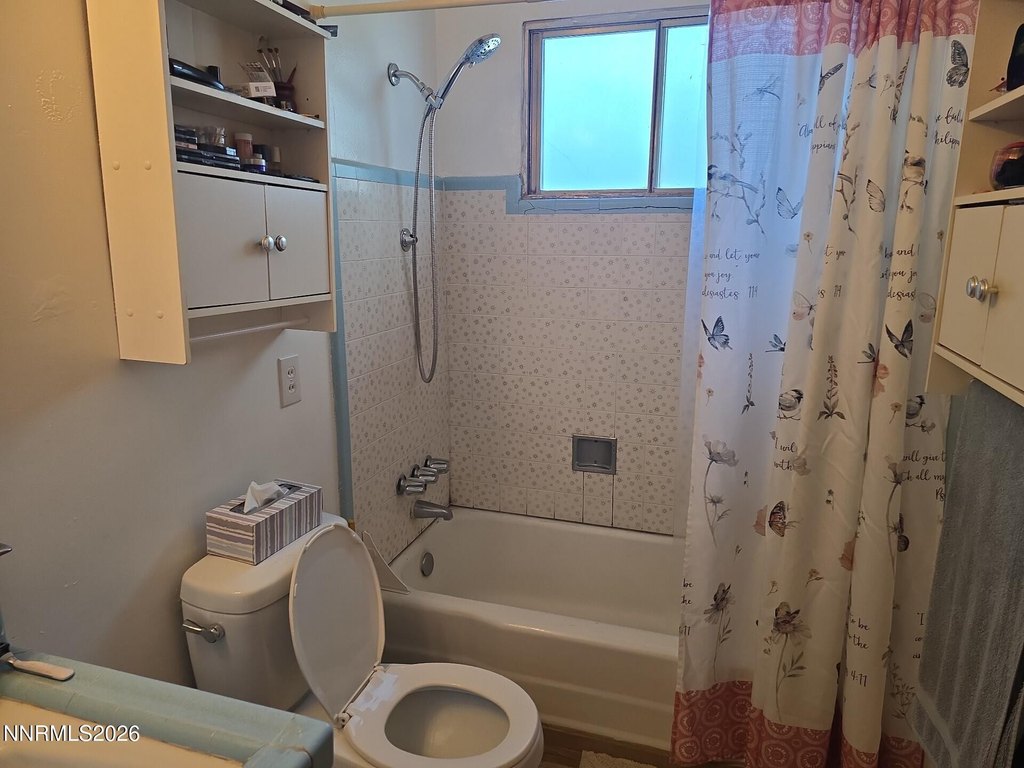 Picture 18