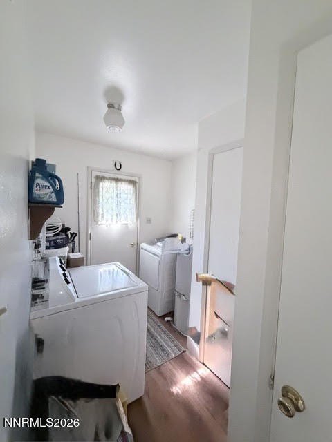 Picture 15