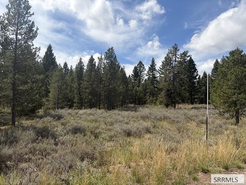 Land, Island Park, ID
