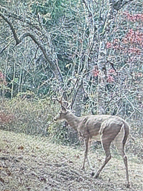 Picture 5