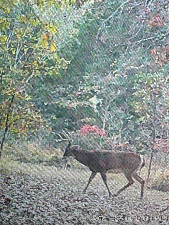 Picture 4