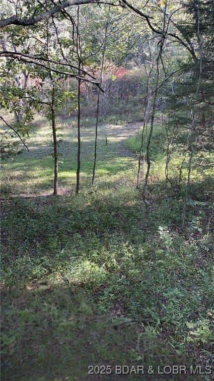 Picture 6