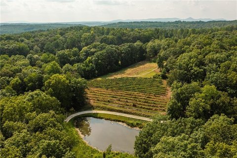 Vineyard Property with Winery