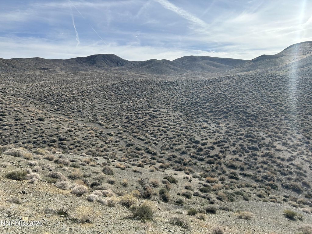 Picture 10