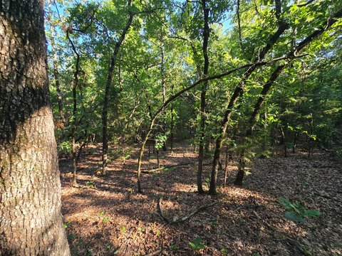 Off-Grid Recreational Land Parcel