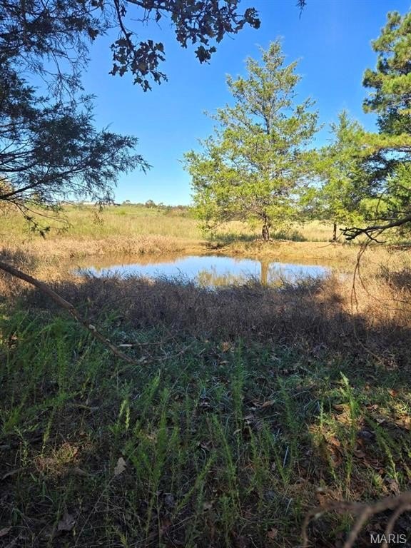 28.5 Acres of Versatile Land