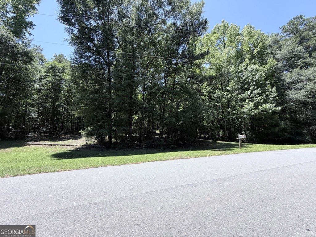 Picture 6