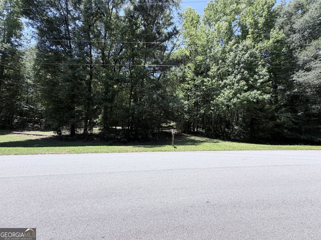 Picture 5