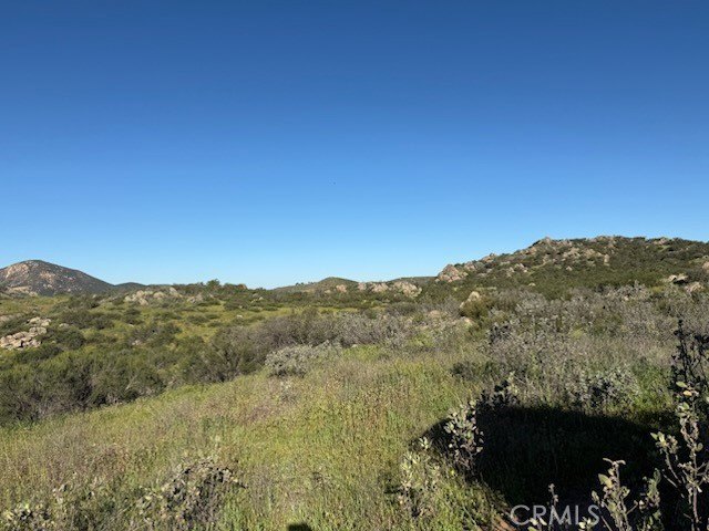 Picture 17