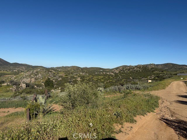 Picture 11