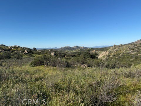Picture 25