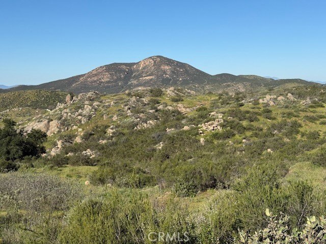 Picture 20