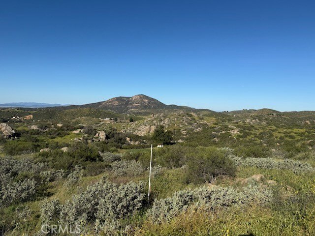 Picture 18