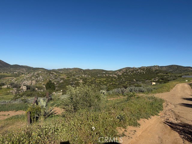 Picture 14