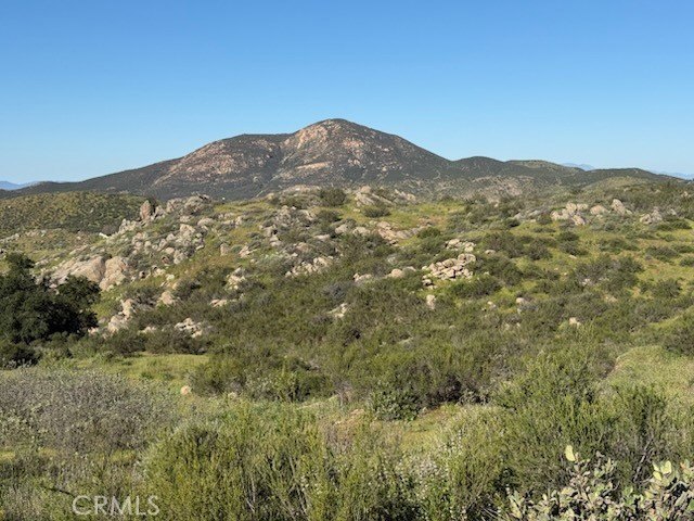 Picture 22