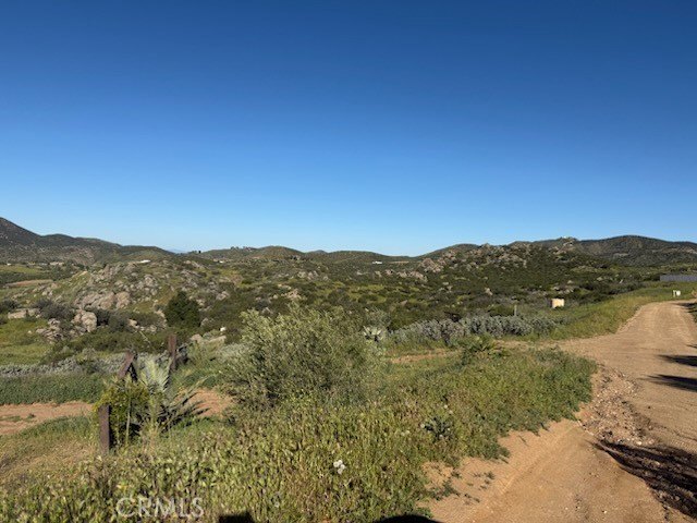 Picture 11