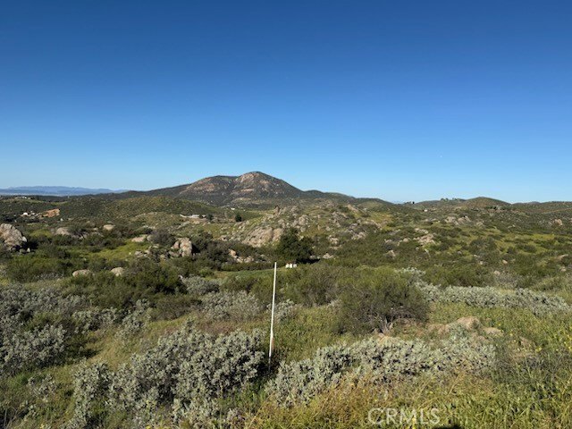 Picture 13
