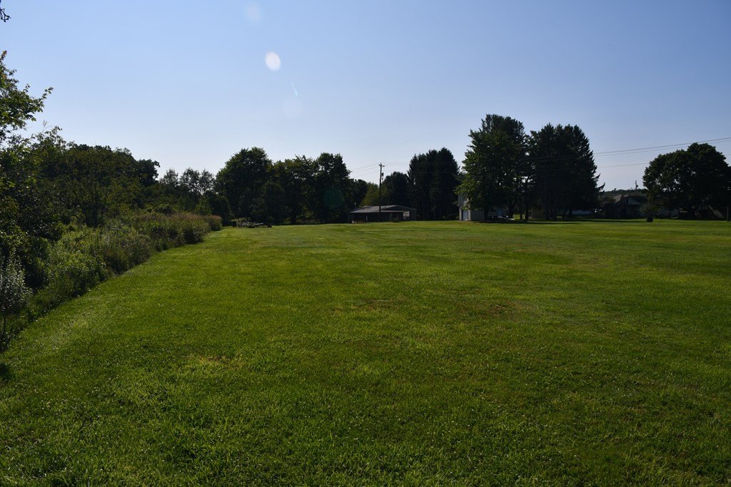 Picture 7